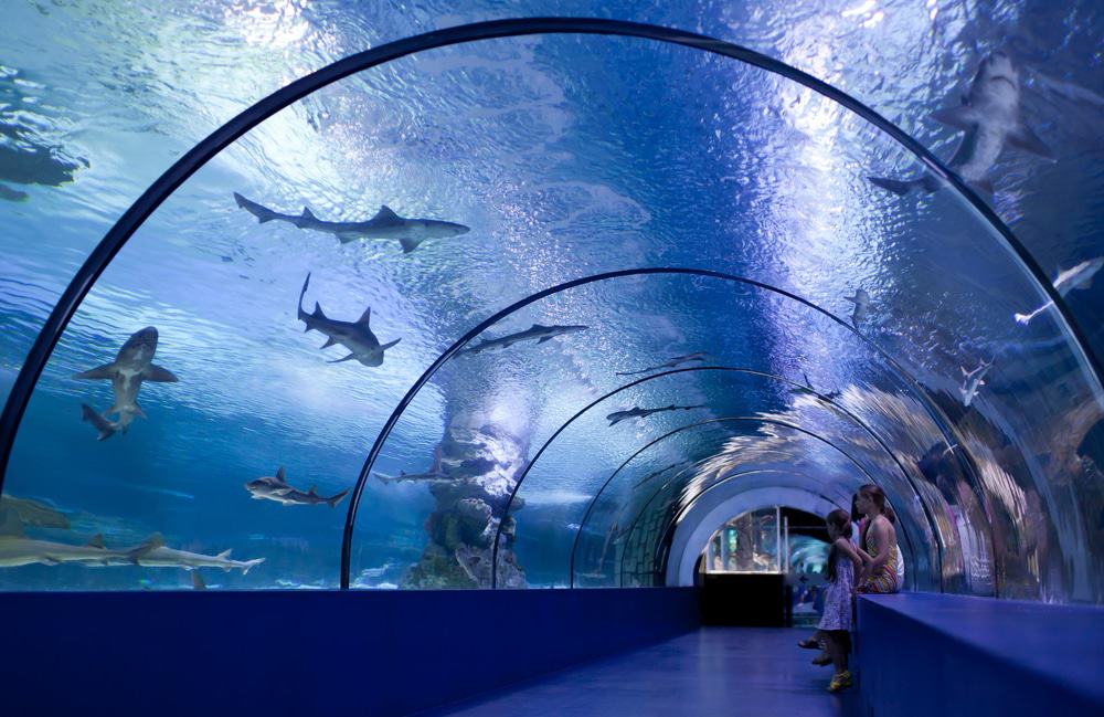 Acuario de Antalya