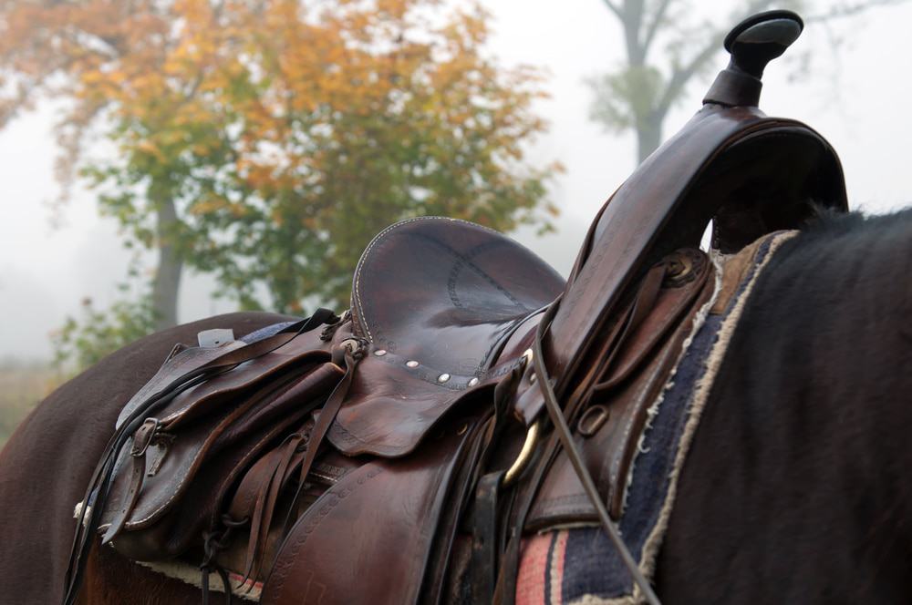 Silla de montar a caballo