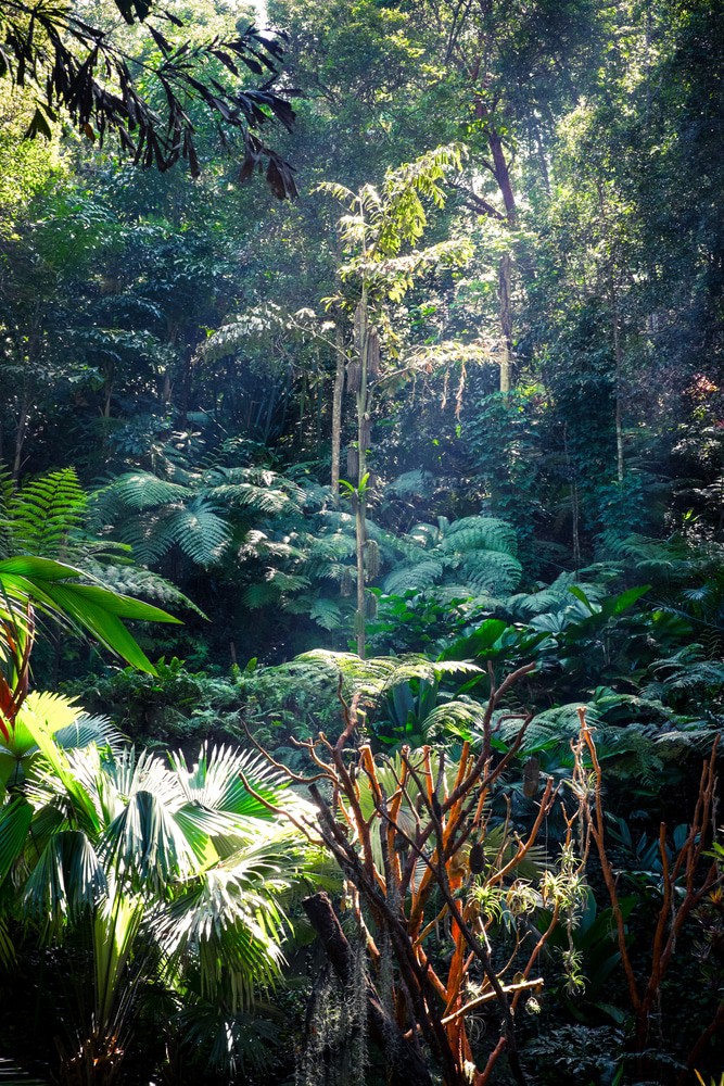 Jardín de especias tropicales, Penang