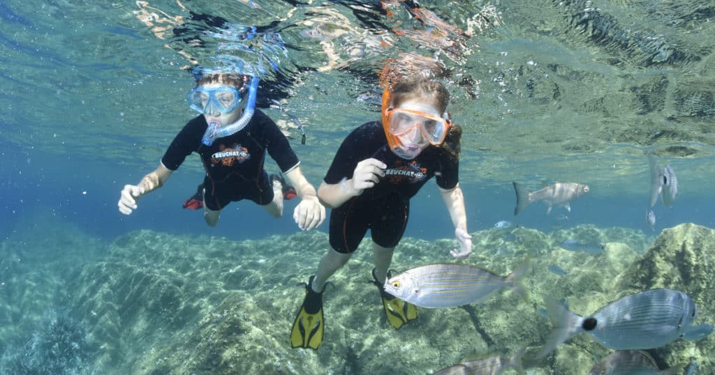 Tour en Barco y Snorkel