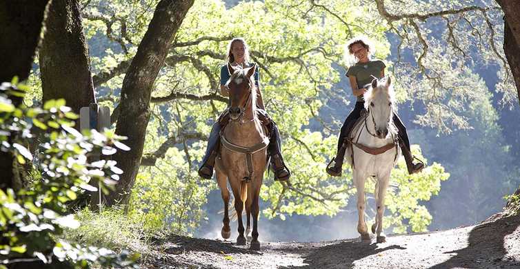 Paseos a caballo desde Siena