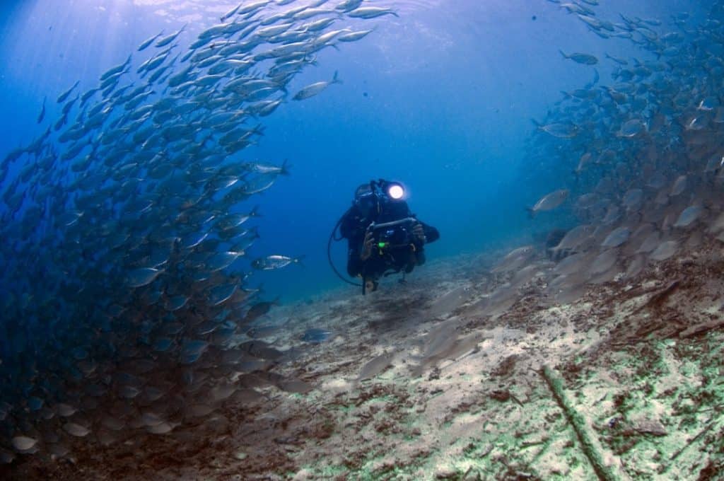 Buceo, Isla Wai