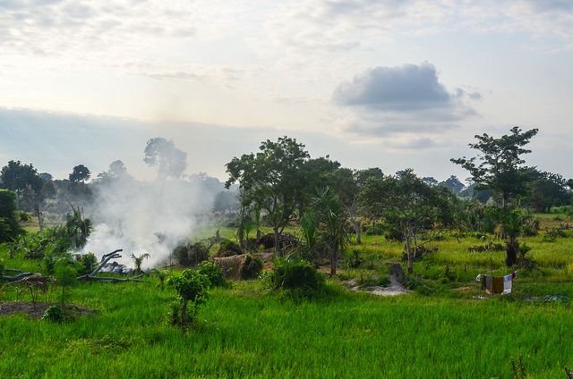 Parque Nacional Marahoué