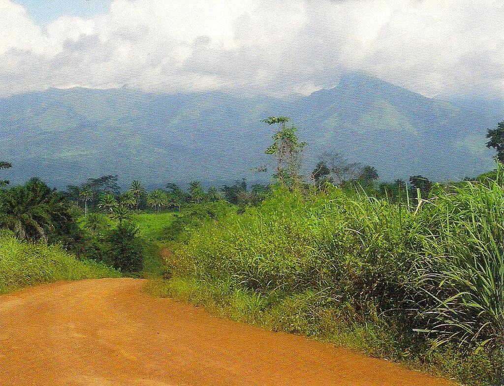 Reserva Natural Estricta del Monte Nimba