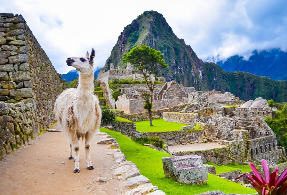 Ruinas de Machu Picchu