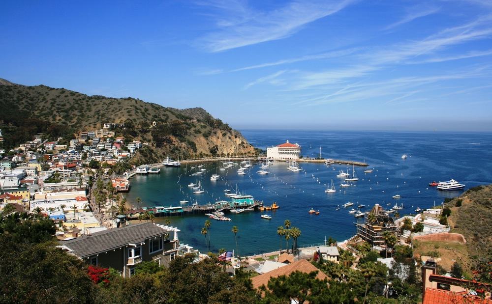 Isla Santa Catalina, California