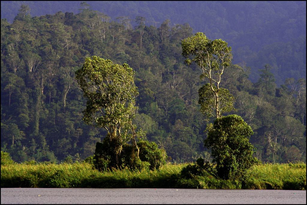 Parque Nacional Lindu