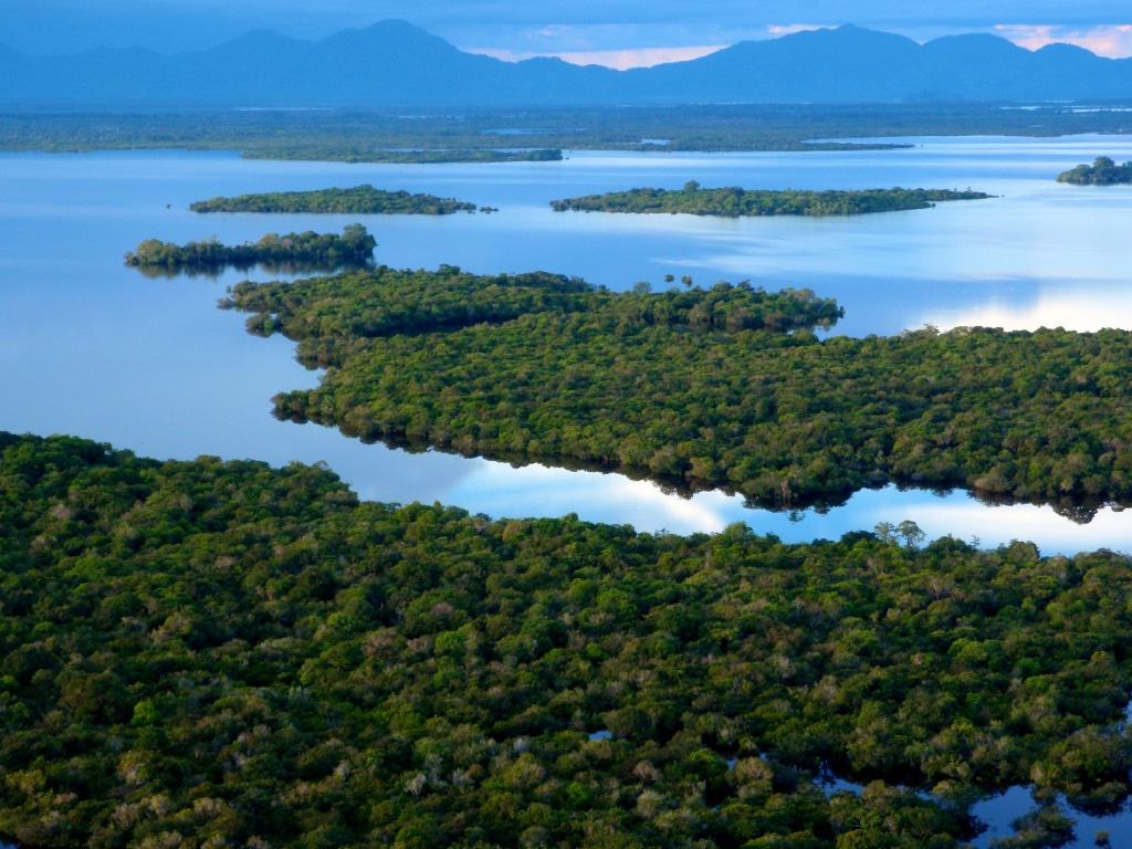 Parque Nacional Danau Sentarum