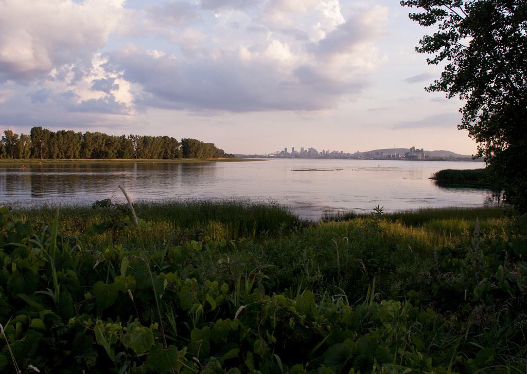 El horizonte de Montreal desde Île Charron