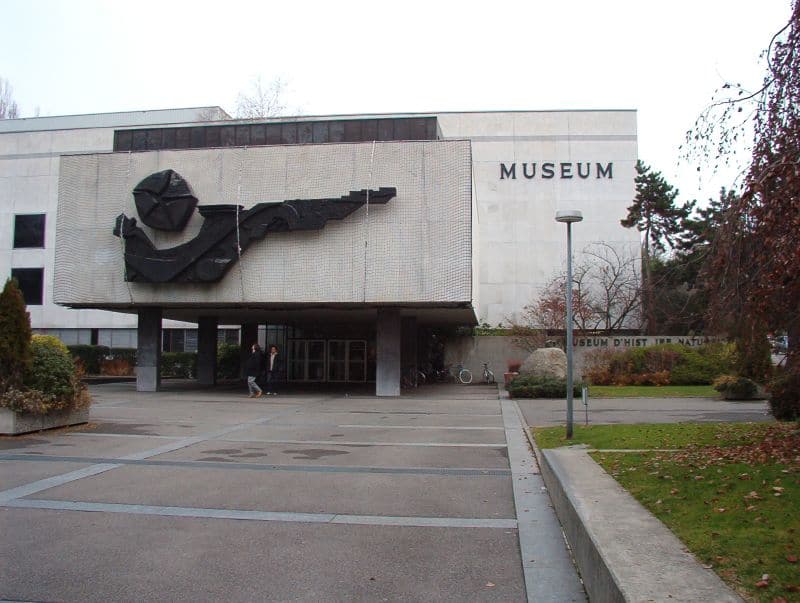 Museo de Historia Natural