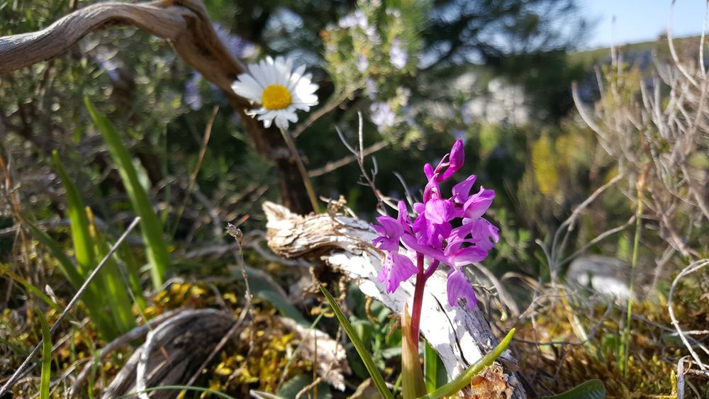 Parque Natural De Las Sierras De Aire Y Candeeiros