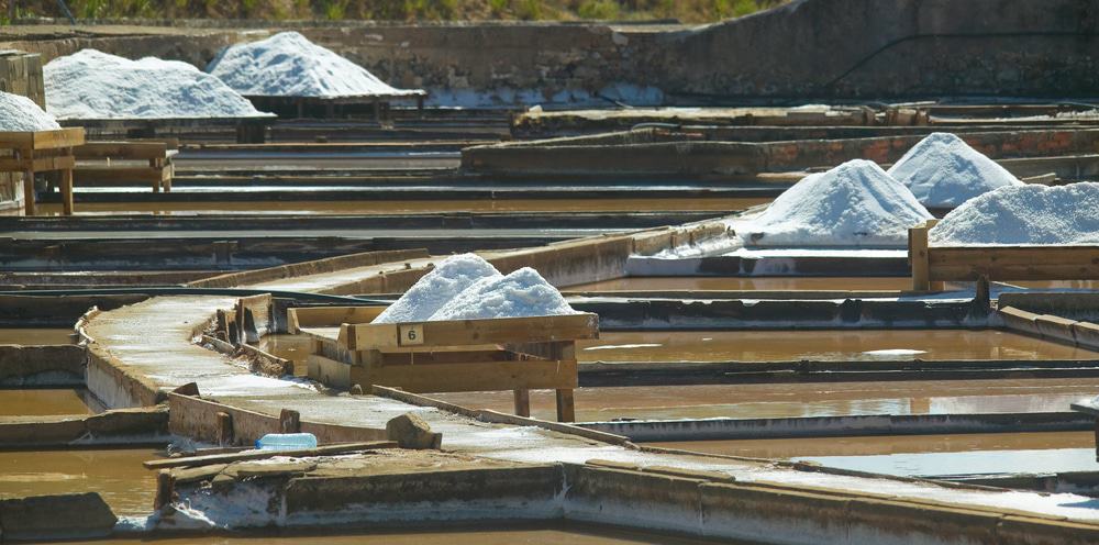 Salinas Naturais De Rio Maior