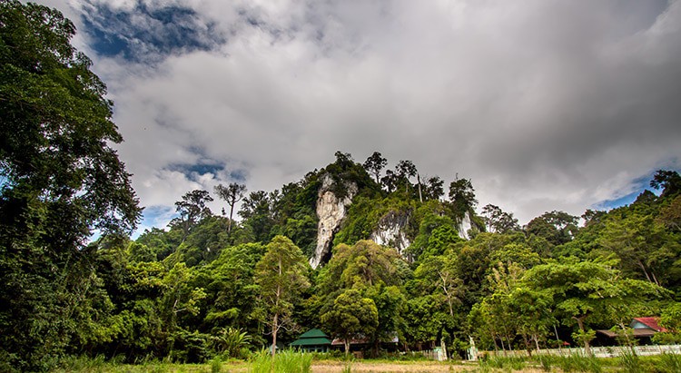 Montaña Blanca Kalimantan