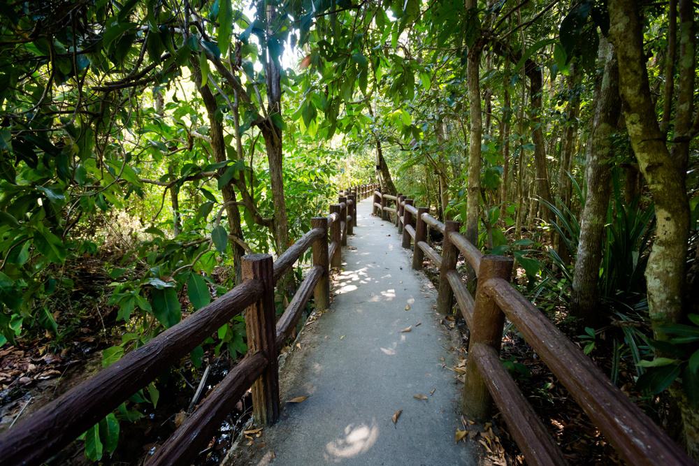 Parque Natural del Bosque Thung Teao