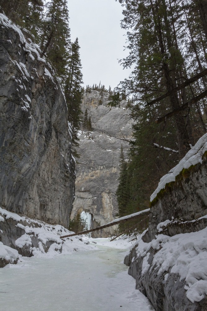 Caminata sobre hielo en el Cañón Grotto