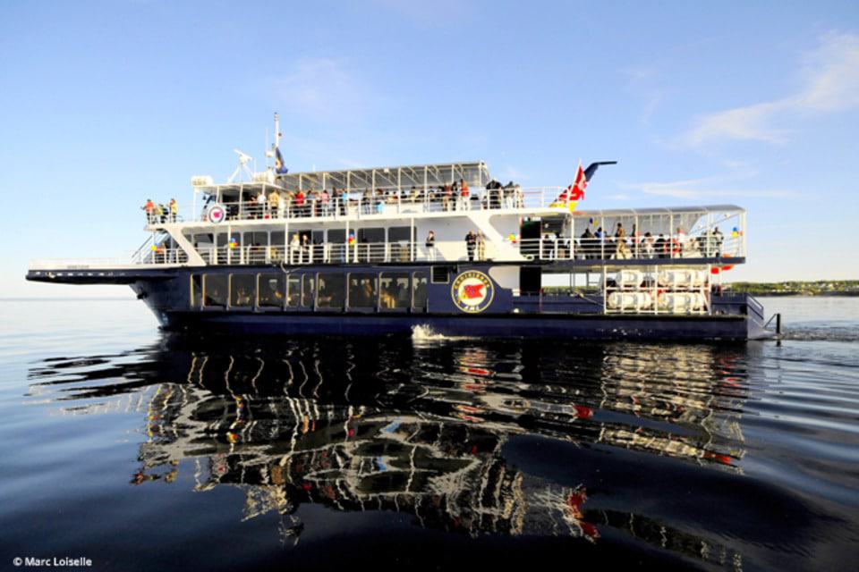 Tour de 3 horas por el fiordo de Saguenay y las ballenas desde Tadoussac