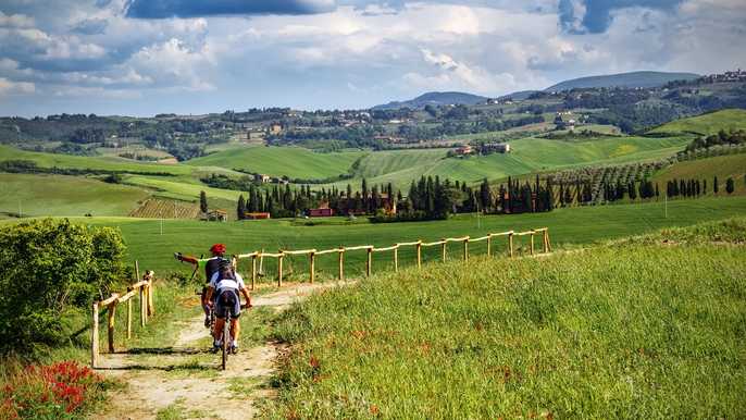 Tour vitivinícola SuperTuscan para grupos pequeños