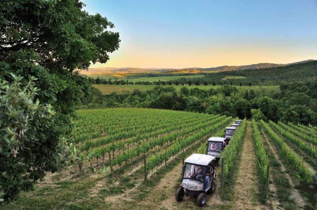 Ruta del vino Monte Vibiano