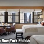 Dónde alojarse en Nueva York con niños # Lotte new york palace