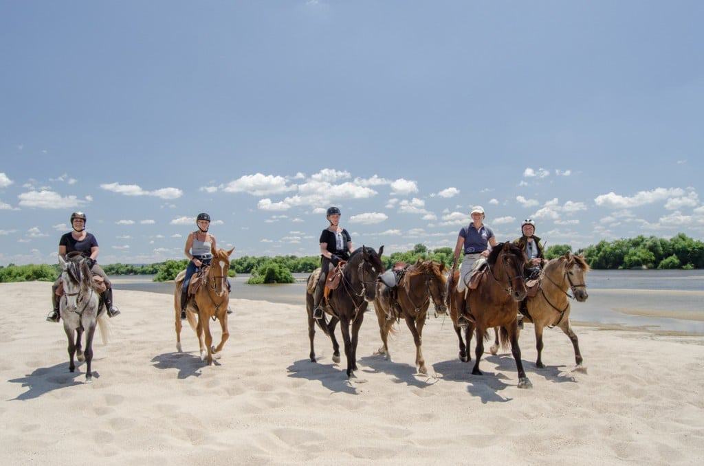 Caballos Lusitanos