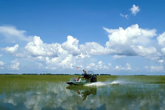 Tour por lo mejor de los Everglades