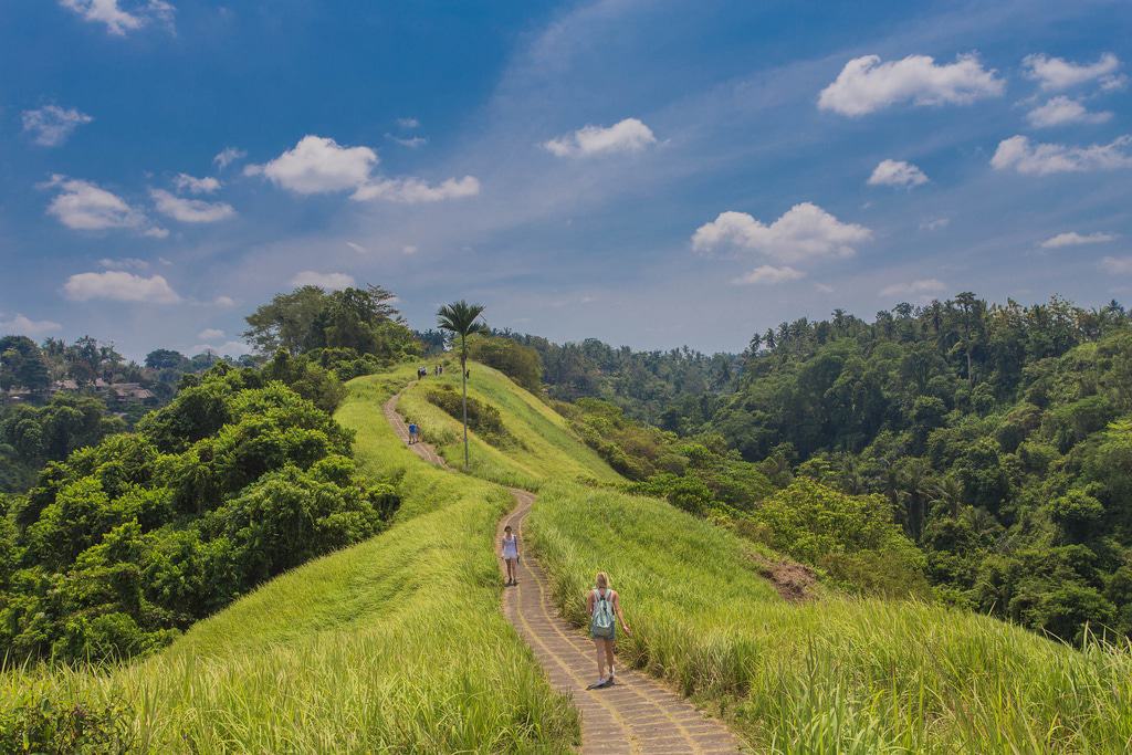 Caminata Campuhan Ridge