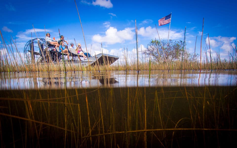 Tour en hidrodeslizador por el Parque Nacional Everglades