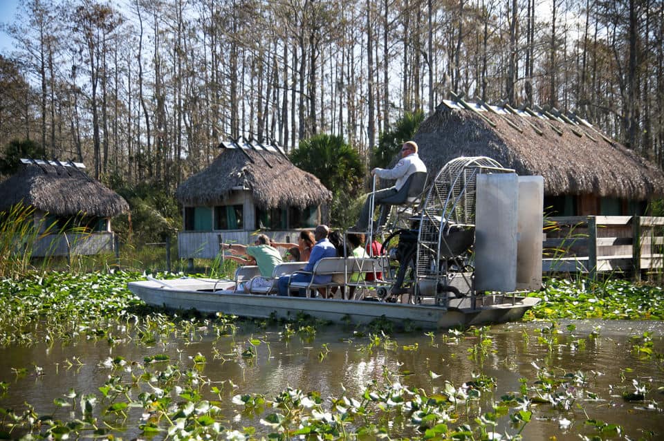 Tour en hidrodeslizador para grupos pequeños por los Everglades de Florida