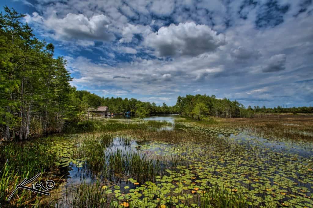 Reserva natural Grassy Waters