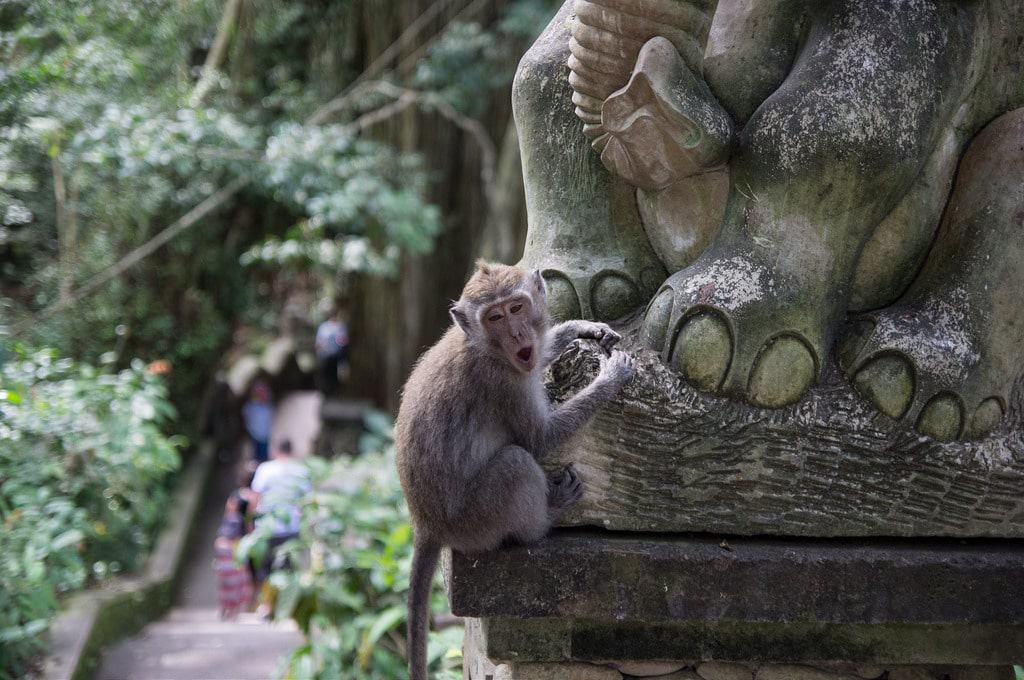 Bosque de monos, Ubud