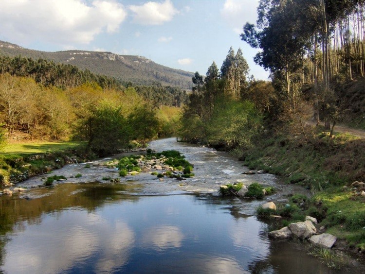 Parque Paleozoico De Valongo