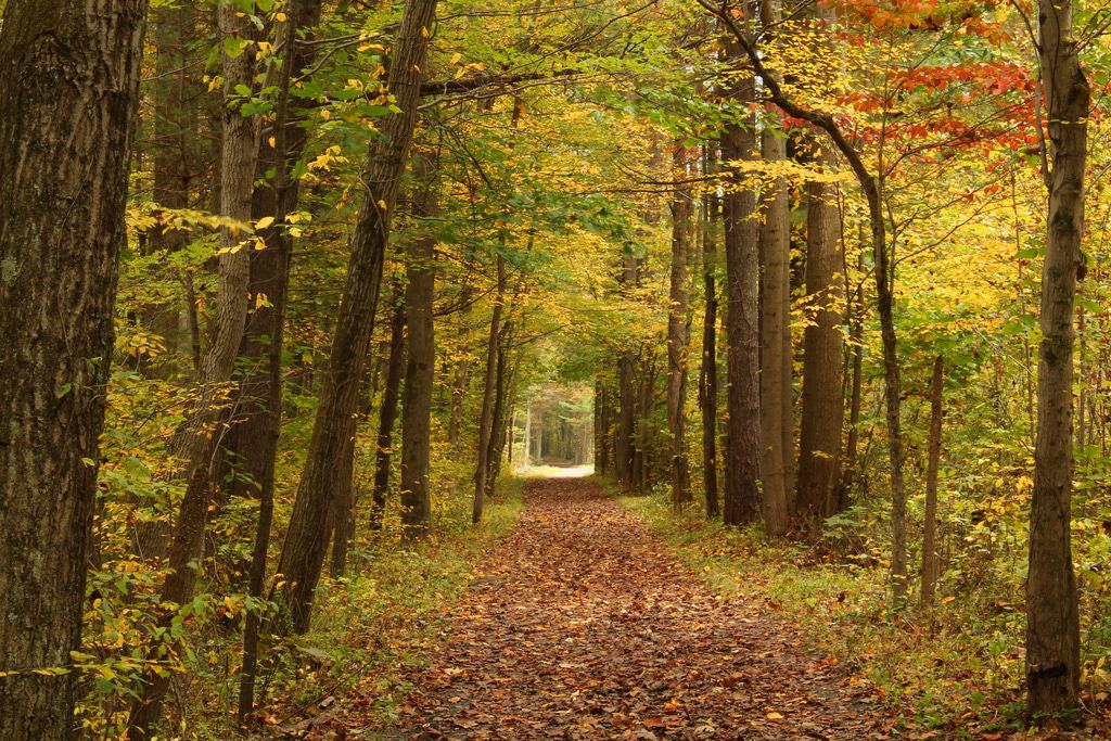 Sendero Sovers Run, Bushkill