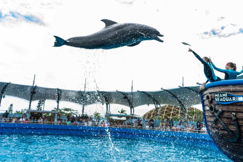 acuario marino de miami