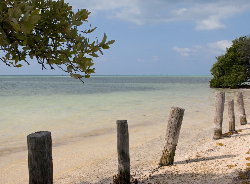 Playa de Anne, Islamorada