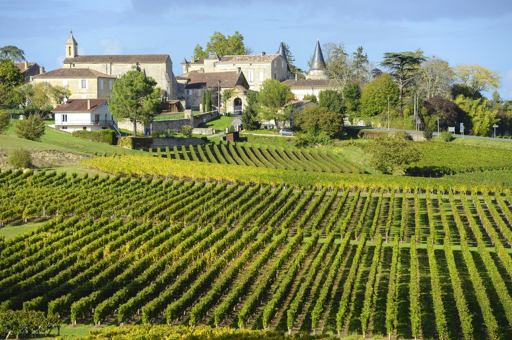 Viñedos de Saint Emilion