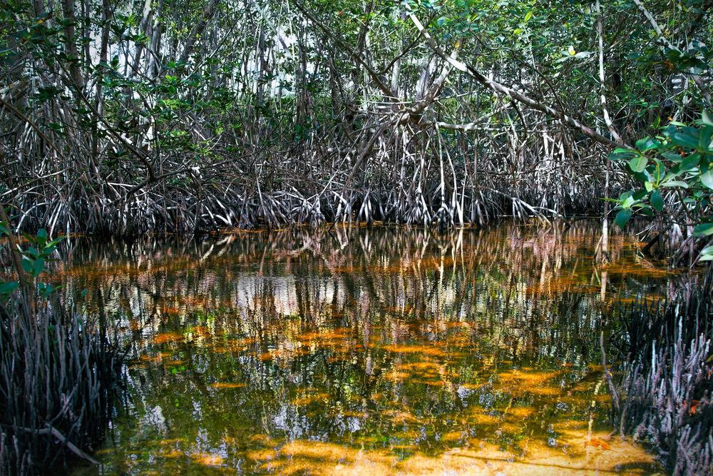 Parque Nacional Biscayne