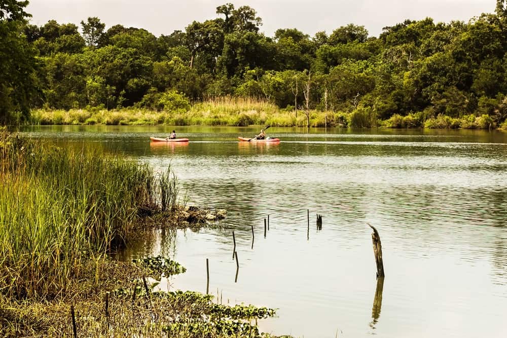 Centro de la naturaleza Armand Bayou