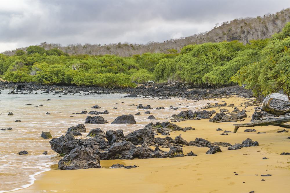 Playa Garrapatero