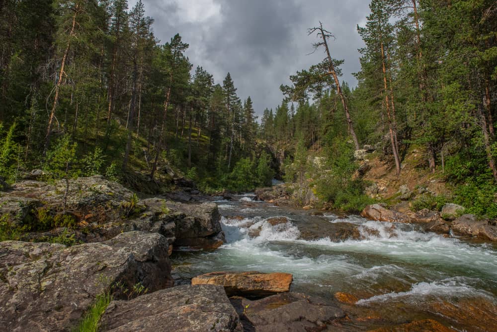 Parque Nacional Lemmenjoki