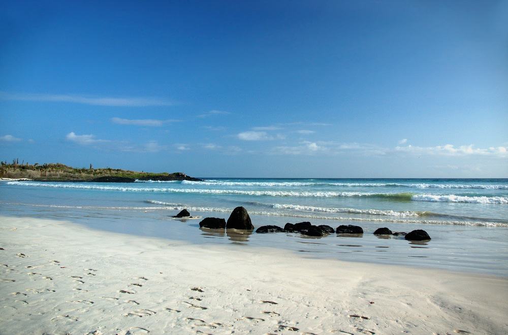 Bahía Tortuga, Santa Cruz, Galápagos